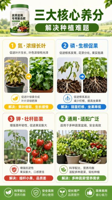 [第2屏] 核心功效痛点解决总览页，蔬菜盆栽专用复合肥四格功效说明。
[氛围/风格] 清晰直观信息图，田园清新风，高清图文层次分明，商业设计感。
[元素布局] 页面分为2×2四宫格：左上展示黄叶瘦弱蔬预览效果