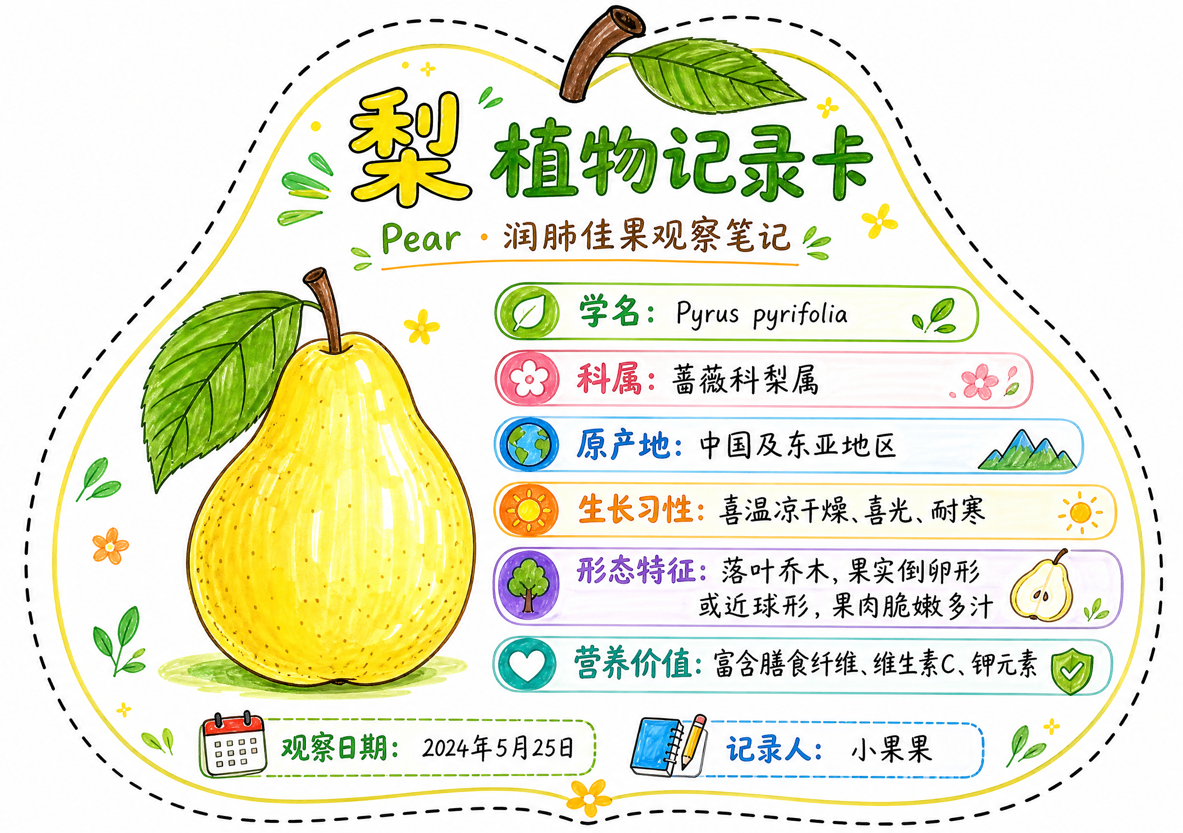 一张梨异形植物记录卡，整体为梨轮廓造型，沿梨外轮廓有一圈黑色模… - 图片创意预览