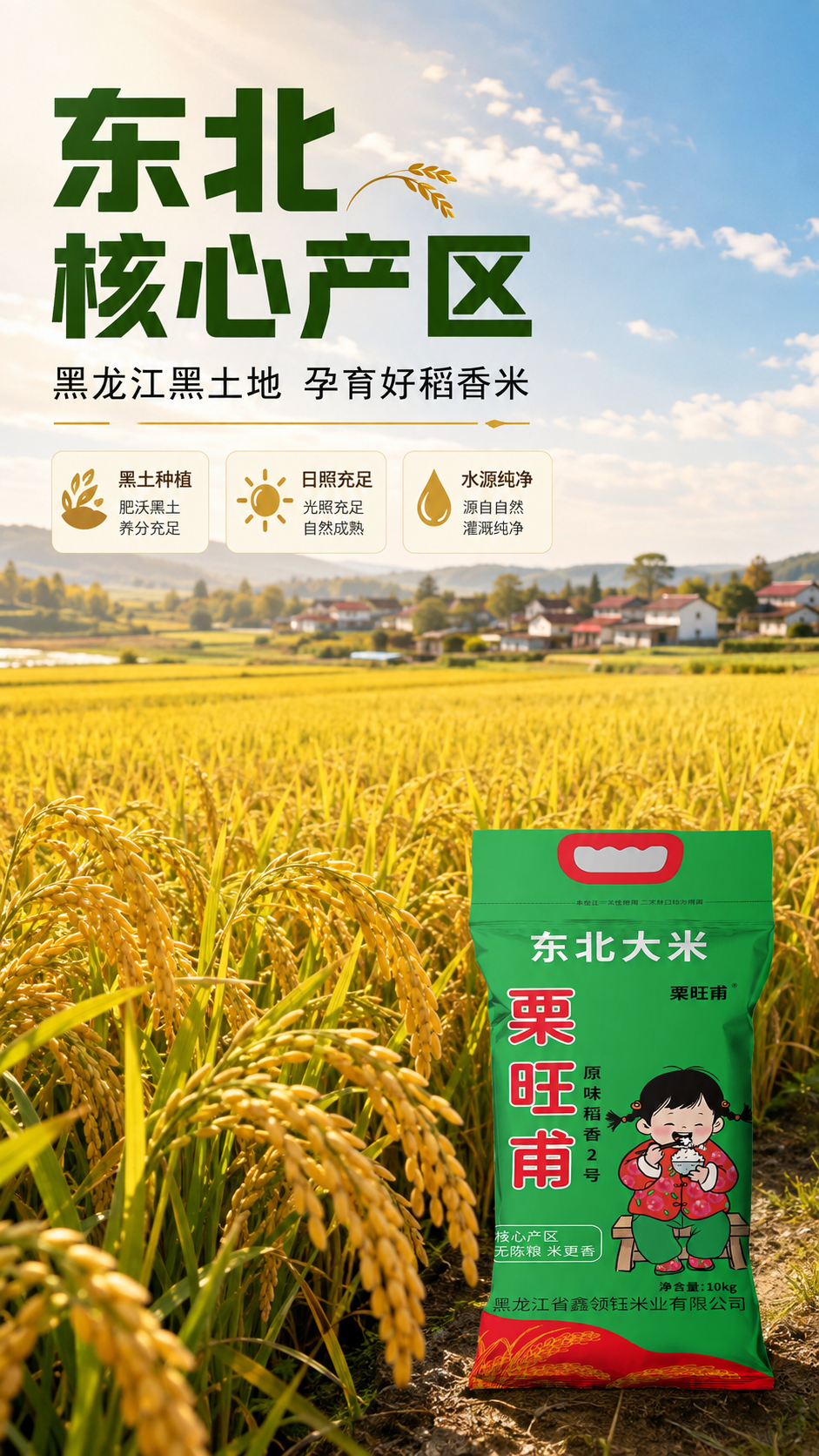 [商品] 使用【图1】栗旺甫东北大米10kg绿色包装袋；保留包… - 图片创意预览