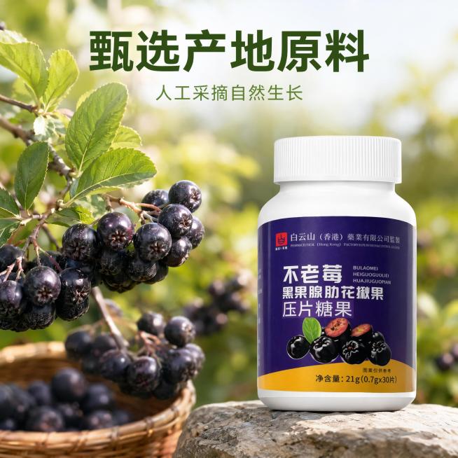[主图-2] 不老莓原料产地展示核心卖点图，家居治愈风格。[氛围风格] 清新自然，突出原料优质感，治愈感。[画质] 商业摄影质感，光线柔和通透，产品清晰真实，画面干净高级。[元素] 左侧为不老莓黑果腺预览效果