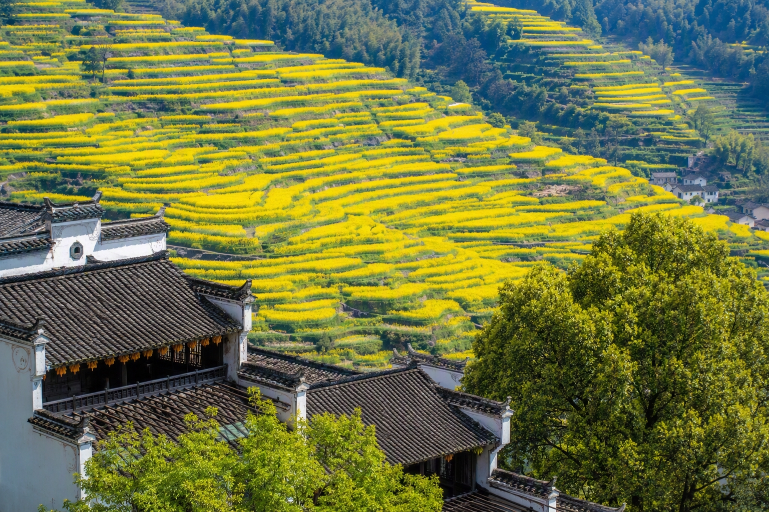 参考图风格，重新生成一张高清摄影图，前景是徽派古建筑白墙黑瓦马… - 图片创意预览