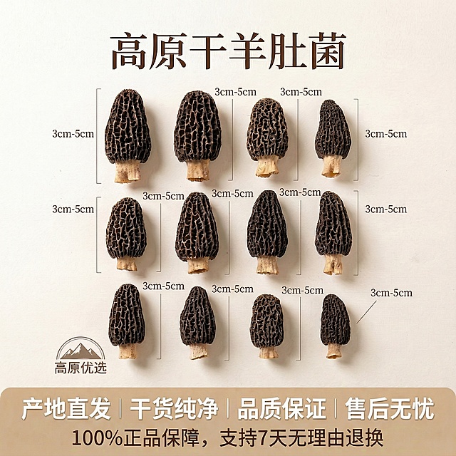 将图片中所有羊肚菌菌盖的颜色整体调深，使其颜色更黑一些，保持原有规格标注、布局、文字信息和整体风格不变，不改变其他部分颜色，仅加深羊肚菌本身颜色