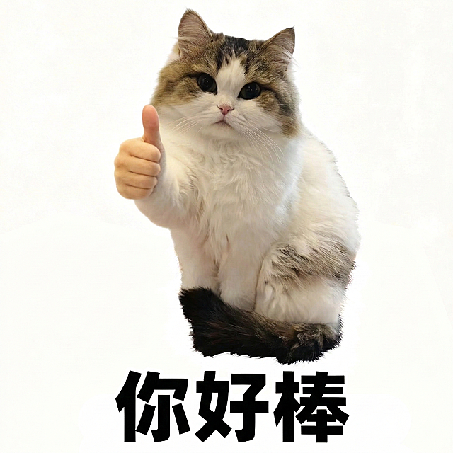将图中橘白猫咪的毛色替换为图二布偶猫的棕白狸花配色，保持猫咪竖大拇指的姿势、白色背景和下方“你好棒”的黑色粗体文字不变