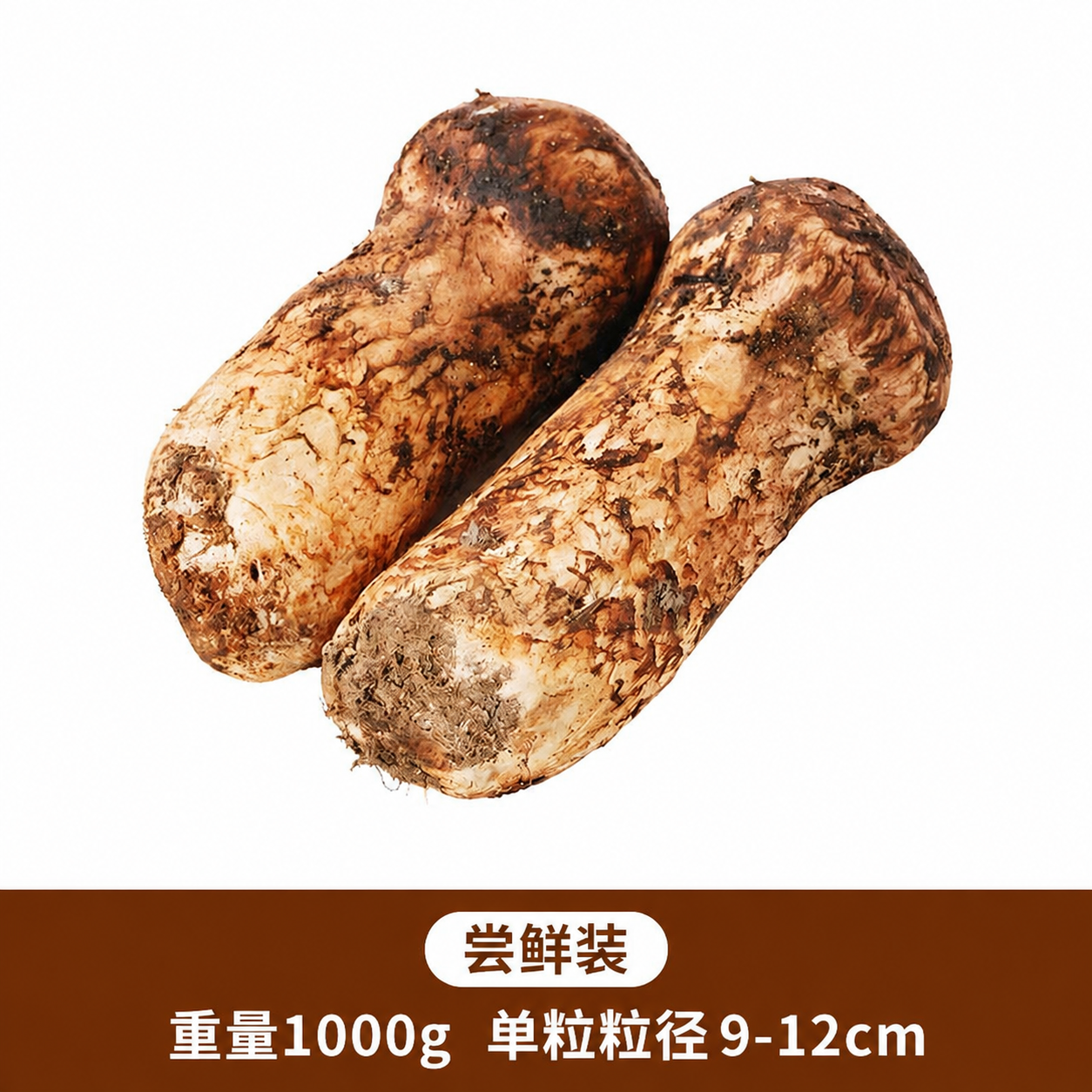 修改图片底部棕色区域的文字：将“重量500g”改为“重量100… - 图片创意预览