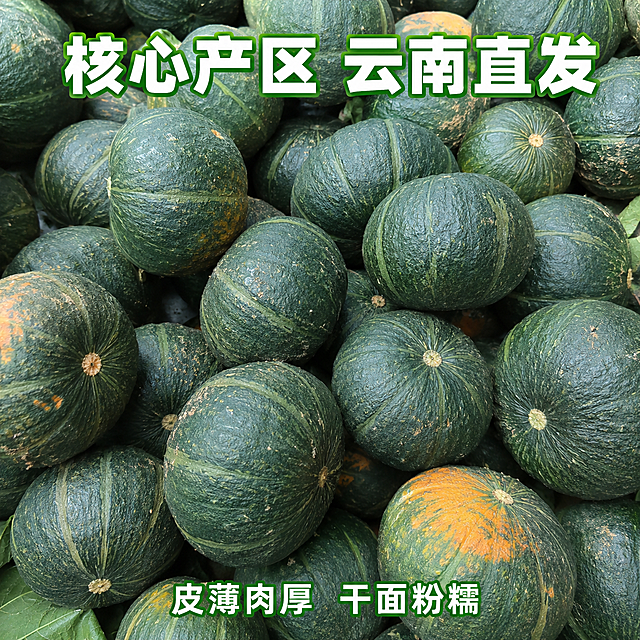 [主图-2] 云南产地新鲜贝贝南瓜整瓜堆展示
[氛围风格] 新鲜采摘的真实感，原产地直供氛围
[画质] 商业摄影质感，光线柔和通透，产品清晰真实，画面干净高级，颜色真实不偏离原图，大小不超过3m
[元素] 一堆带泥新鲜完整的贝贝南瓜堆叠，展示真实采摘状态，每个南瓜都带有深绿带浅纹的外皮，形状饱满圆润，保持贝贝南瓜外观物理结构材质质感颜色与输入产品图绝对一致，杜绝变形色差，精细化处理，商品主体占比约75%，满屏无边框
[光影] 户外自然光，柔和均匀，突出南瓜表皮的自然纹理，新鲜带水珠质感
[配色] 深绿底色为主，搭配泥土浅褐色，自然真实
[视角构图] 俯拍视角，全景展示整批南瓜，层次丰富
[文字版式] 顶部居中大字文案为"核心产区 云南直发"，白色字体带浅绿描边保证清晰，底部标注"皮薄肉厚 干面粉糯"小字说明
[比例分辨率] 1:1比例，4K分辨率，文字清晰可辨，超高清
[负向提示词] 变形，水印，文字错乱，产品模糊，背景杂乱，颜色失真，脱离实际品质