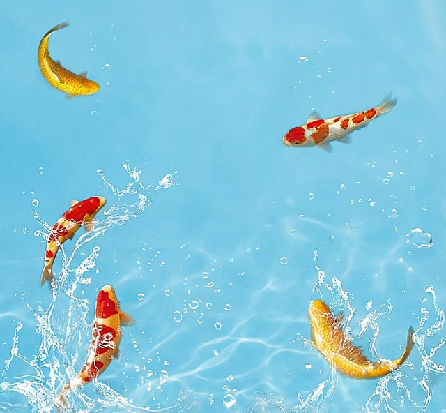 把背景全部变成浅蓝色有水和鱼