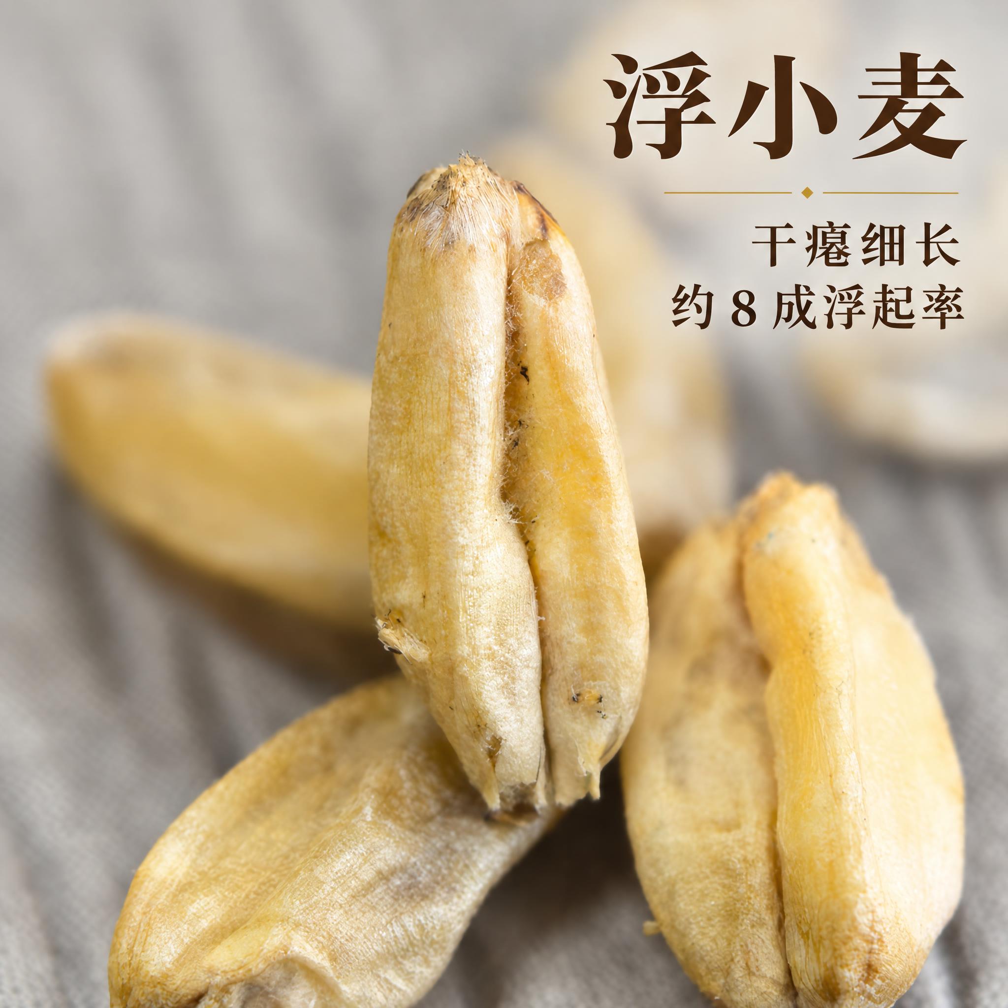 基于上传的浮小麦素材进行主图创作，严格使用上传素材，完整保留原… - 图片创意预览