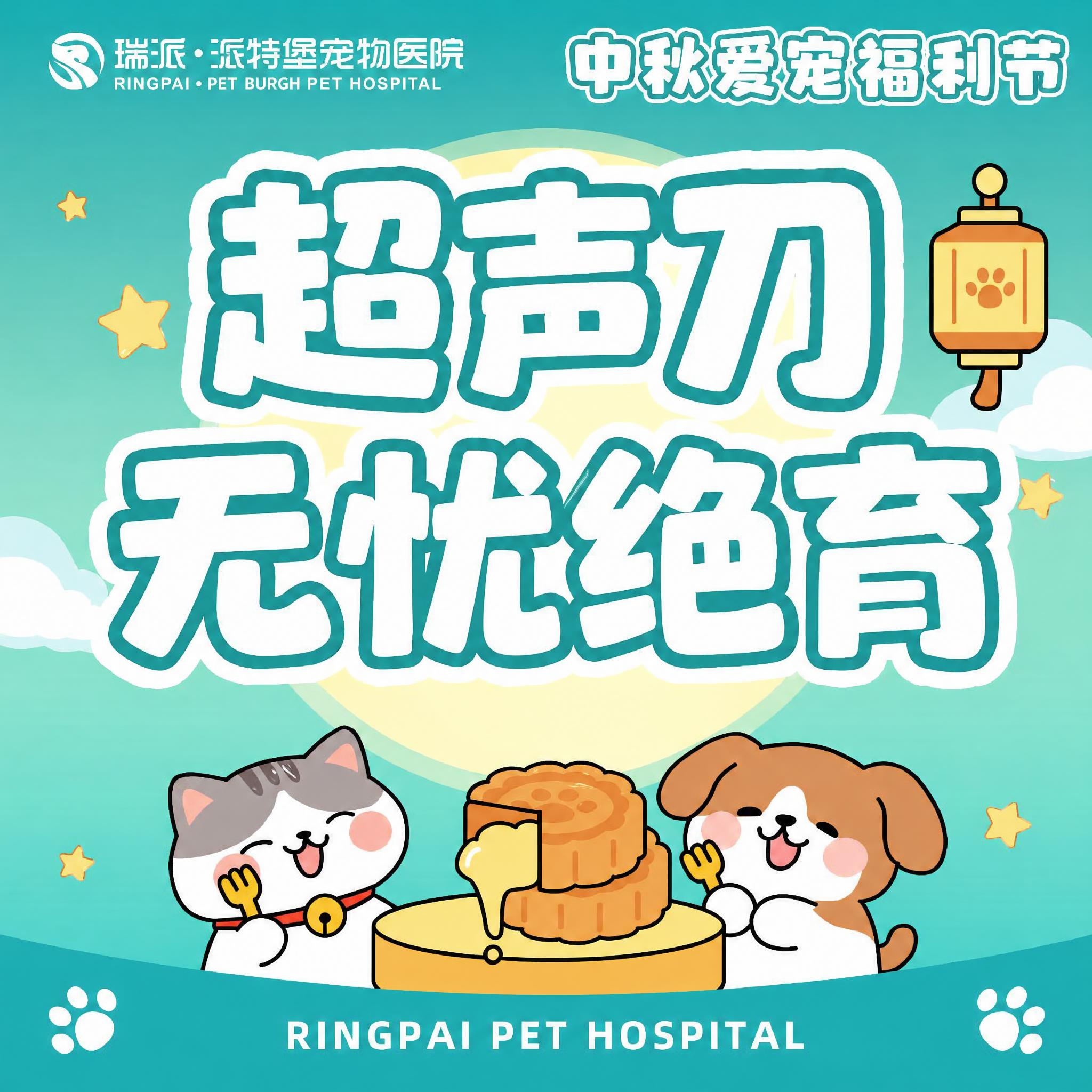 将图片中间的大字'犬猫超声刀'修改为'超声刀无忧绝育'，保持字… - 图片创意预览