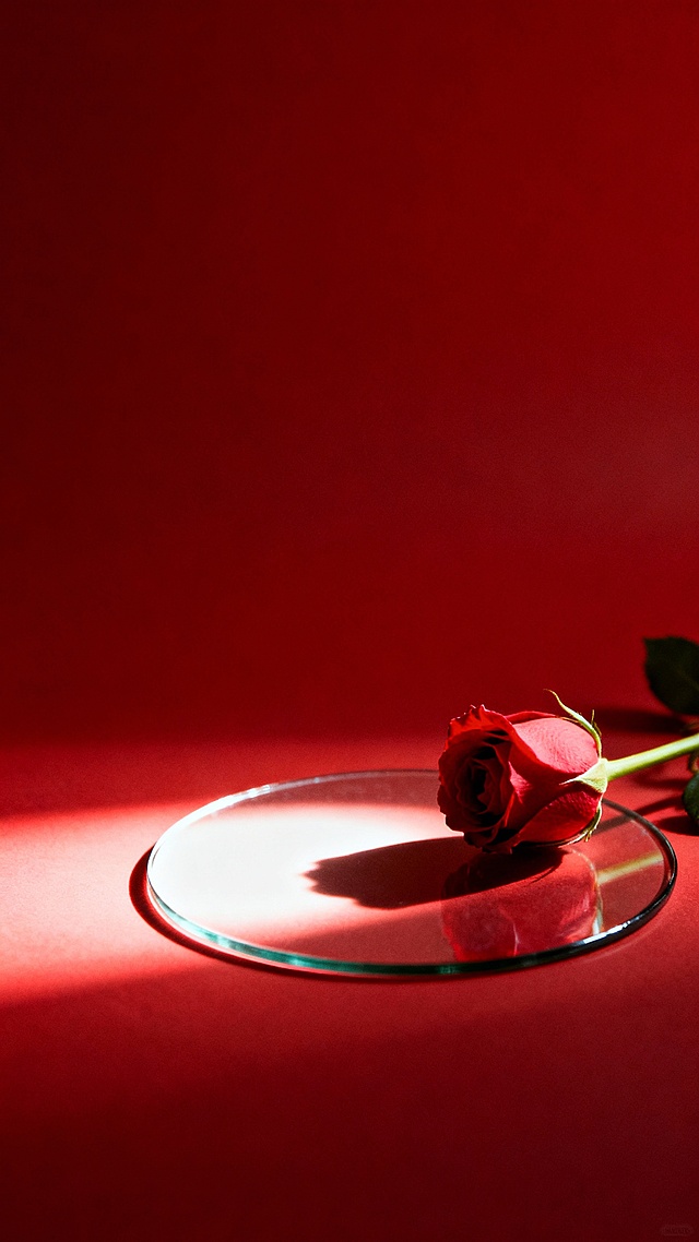 一张具有胶片风质感的背景素材，画面整体笼罩在浓郁的红色调中，光影运用富有戏剧性，光源从侧上方照射，在下方圆形透明玻璃托盘上形成明亮的高光和柔和的阴影，托盘边缘清晰，表面光滑有反光。右侧一支红色玫瑰花苞及部分茎叶微微倾斜，花朵主体处于轻微失焦的朦胧状态，花瓣边缘细节柔和。画面采用大面积留白手法，主体元素（玻璃托盘与玫瑰花）集中在右下角区域，左侧及上部留有大量红色渐变的空白空间，营造出宁静而富有诗意的氛围，整体风格偏向写实与艺术感的结合，色彩和谐统一，信息传达简洁高效，适合作为具有高级感的背景使用。