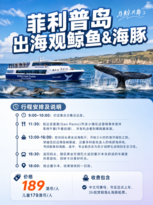 生成小红书封面海报预览效果