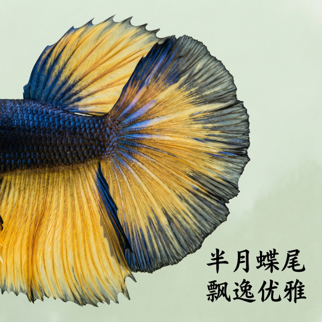 重新生成预览效果