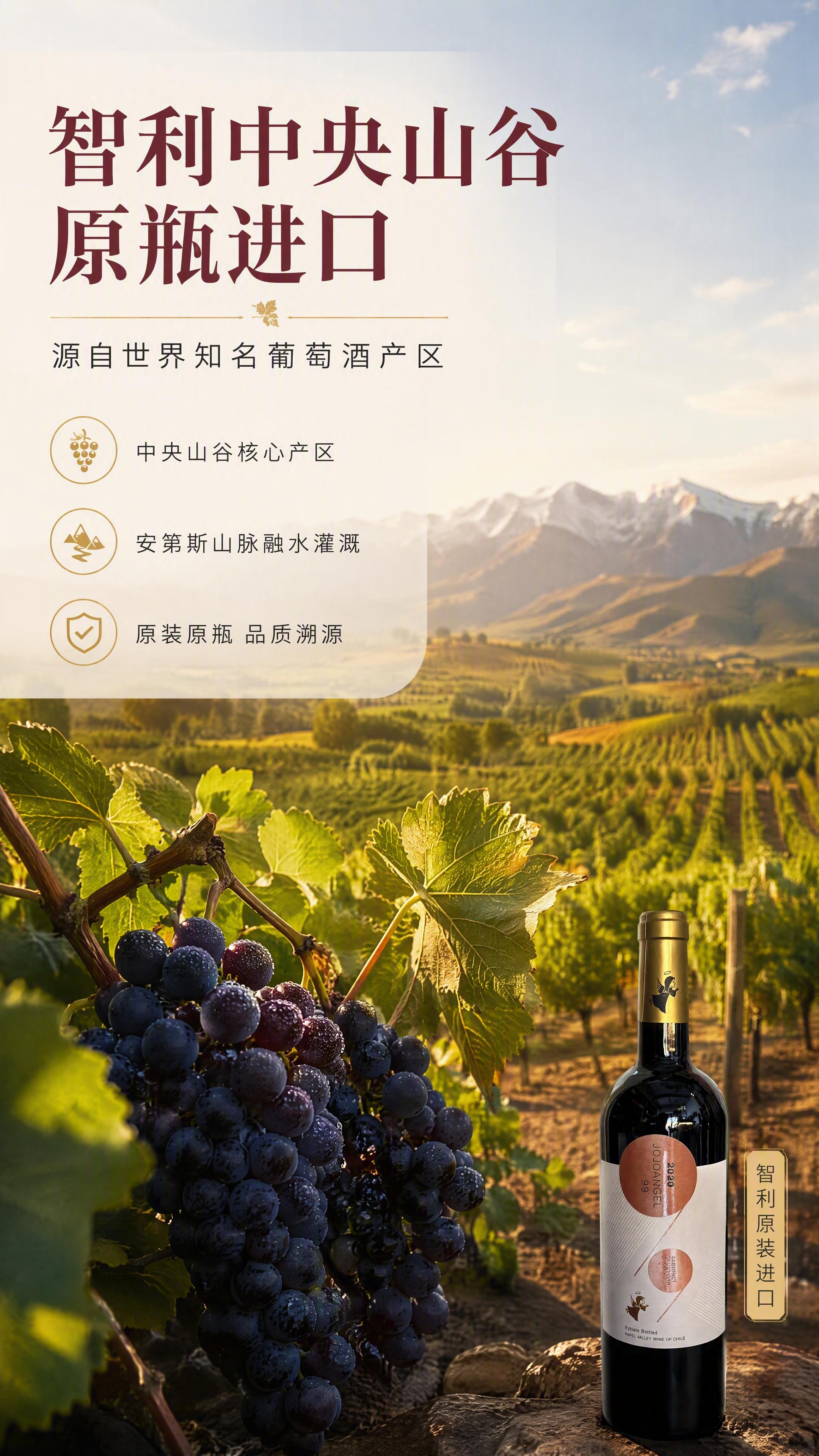 [商品] 使用【图2】99天使赤霞珠红葡萄酒单瓶图作为辅助元素… - 图片创意预览
