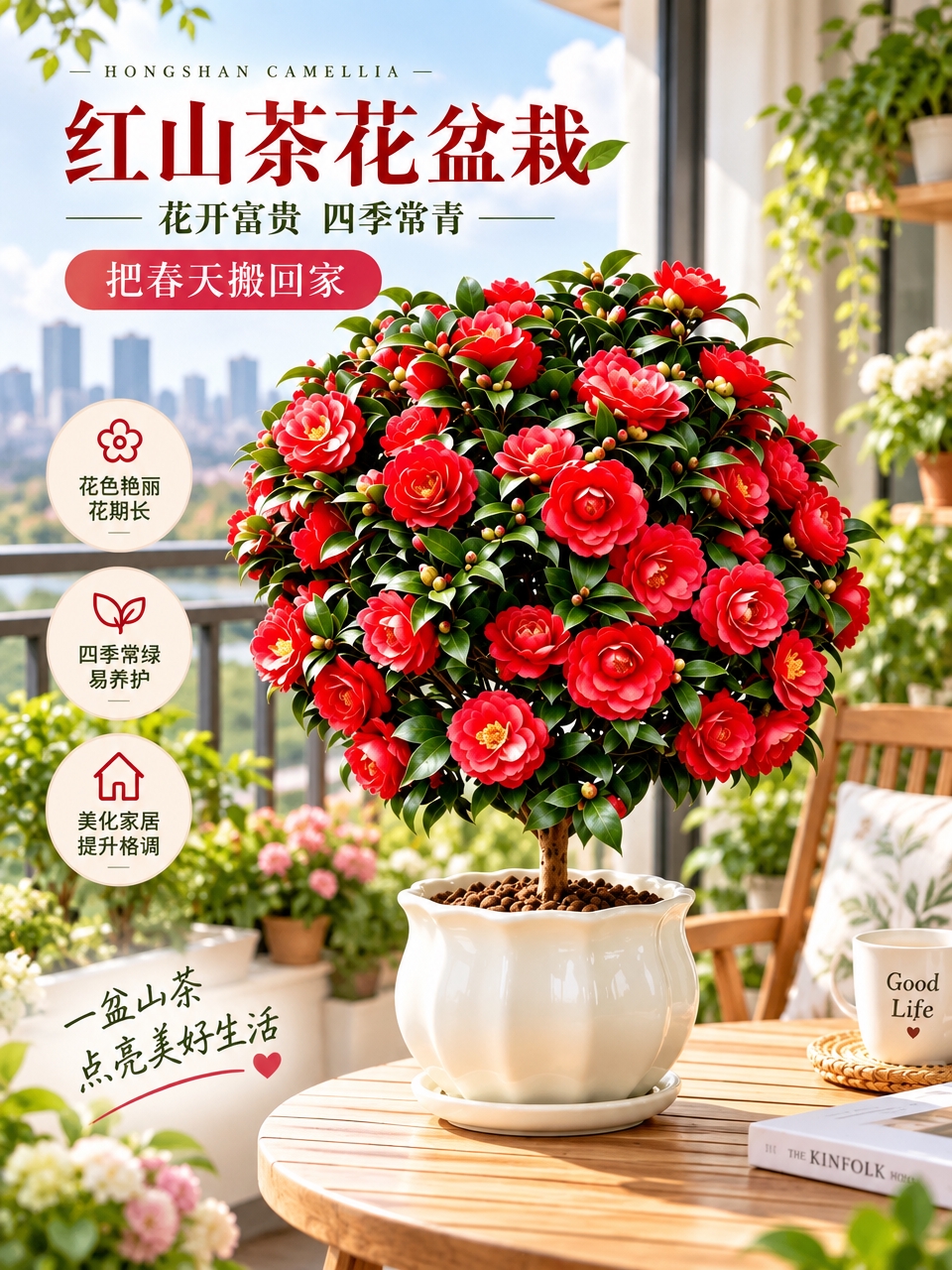 淘宝天猫电商主图，红山茶花盆景盆栽商品，放置在清新自然的阳台场… - 图片创意预览