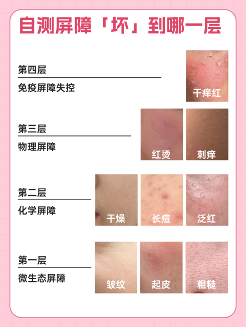 美容护肤攻略科普小红书封面预览效果