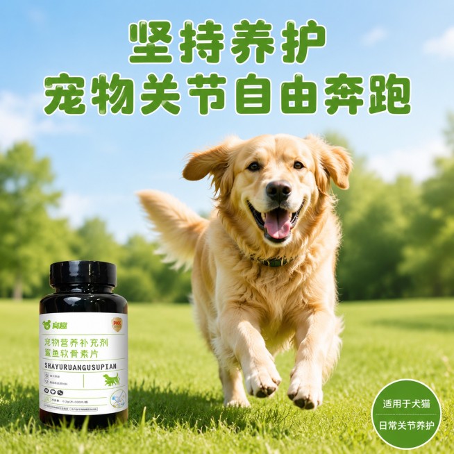 [主图-5] 宠物关节自由活动效果收尾图。
[氛围风格] 温馨积极，拼多多风格，突出使用后效果；
[画质] 商业摄影质感，光线柔和通透，产品清晰真实，画面干净高级。
[元素] 画面中展示健康狗狗开心奔预览效果
