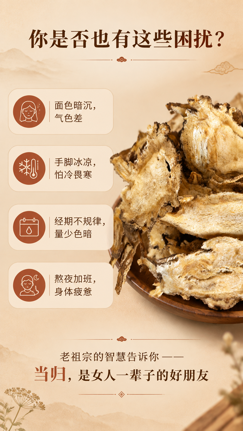 [商品] 使用【图1】当归片特写图；保留当归片的自然形态、棕褐… - 图片创意预览