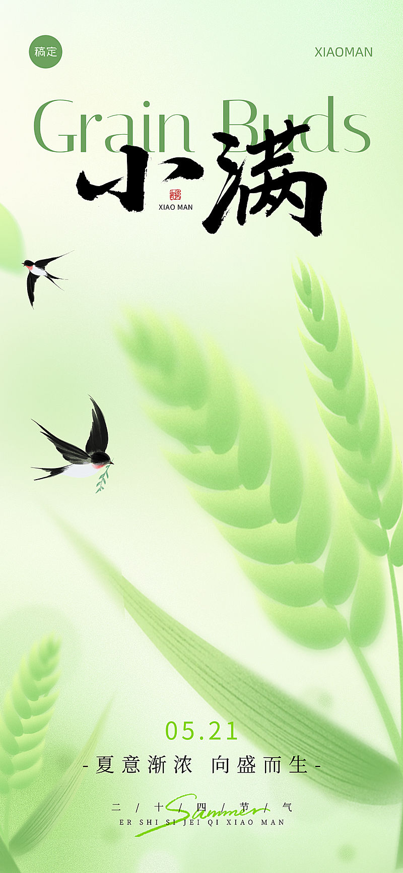 小满节气弥散渐变水稻插画全屏海报