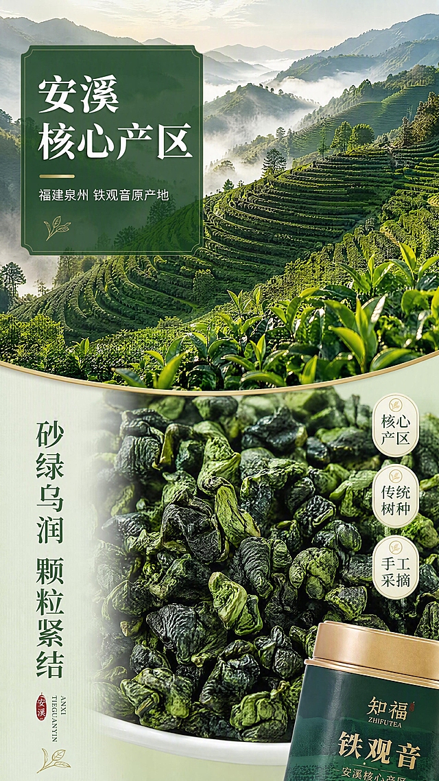 [第2张] 详情页产地原料展示-福建安溪铁观音茶园与茶叶微距。本张为成分/产地专张，不使用产品图作为主体。
[氛围/风格] 自然清新茶园风，真实产地感，绿意盎然，商业摄影质感。
[元素布局] 画面上半部分为福建安溪茶园风光，层层叠叠的茶山梯田，清晨薄雾缭绕，占画面约50%；下半部分为铁观音干茶叶微距特写，颗粒饱满、色泽砂绿乌润，叶脉清晰可见，占画面约40%；右下角小图露出知福铁罐一角作品牌呼应；整体原料元素占主画面≥60%。
[光影质感] 清晨自然柔光，茶园层次分明有空气透视感；茶叶微距采用顶光+侧光，突出茶叶纹理和油润质感，阴影柔和。
[配色色系] 全局底色 #E8F0E3（浅茶绿）；主色深绿 #1F4D2A、翠绿 #3A7D44；辅助色土黄 #C4A35A、米白。
[视角构图] 上下分栏构图，上半部分茶山远景俯视，下半部分茶叶微距特写，阅读动线从上至下。
[文字版式] 上部茶山图叠加半透明墨绿色块，内有白色主标题「安溪核心产区」，副标题「福建泉州 铁观音原产地」；下部茶叶区左侧竖排文字「砂绿乌润 颗粒紧结」，右侧三个信息标签「核心产区」「传统树种」「手工采摘」；标题沿用宋体，字色墨绿+白色。
[比例分辨率] 9:16 竖版比例，4K分辨率，文字清晰可辨，高清画质。
[负向提示词] 人物面部，水印，文字错乱，茶叶模糊，产地场景虚假，文字过小，颜色偏差。