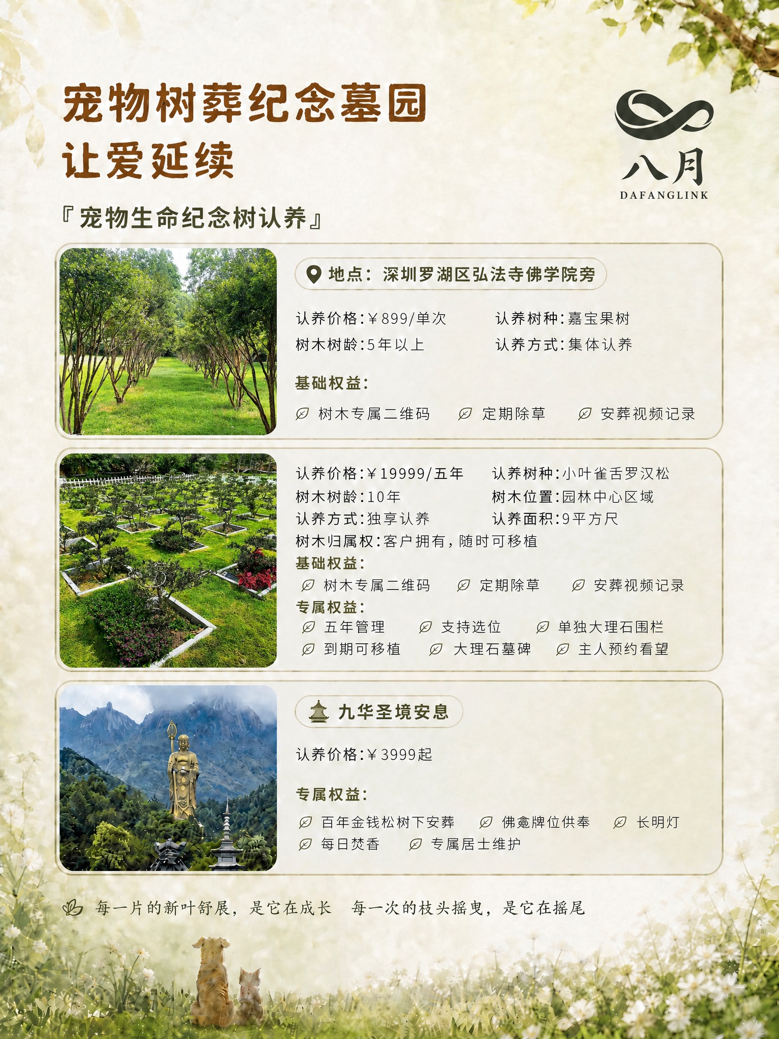 基于当前海报图，替换前两栏卡片的左侧图片，其余所有内容（标题、… - 图片创意预览