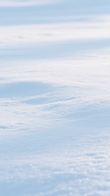 一张干净风格的雪地背景图，画面中是纯净的白雪覆盖地面，雪面呈现出细腻自然的纹理，整体色调以柔和的浅蓝色和白色为主，光线明亮均匀，营造出宁静、整洁的氛围，适合作为背景使用。预览效果