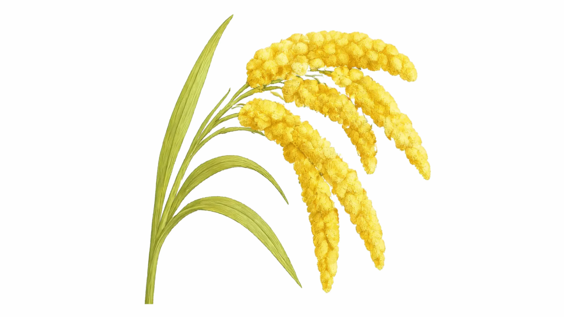 参考图片风格，重新生成小米穗插画内容，保持毛绒质感和配色预览效果