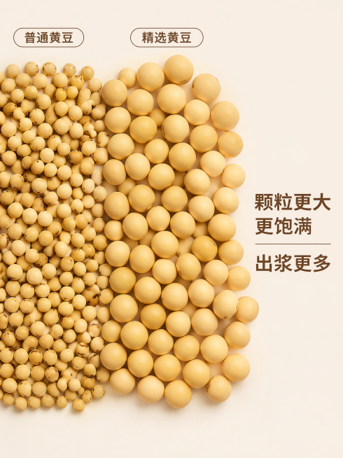 [主图-3] 普通黄豆和精选黄豆颗粒对比展示。[氛围风格] 直观对比，突出品质差异，真实干净。[画质] 商业摄影质感，光线均匀通透，颗粒细节清晰，画面干净简洁。[元素] 画面分为左右两部分，左侧摆放普预览效果