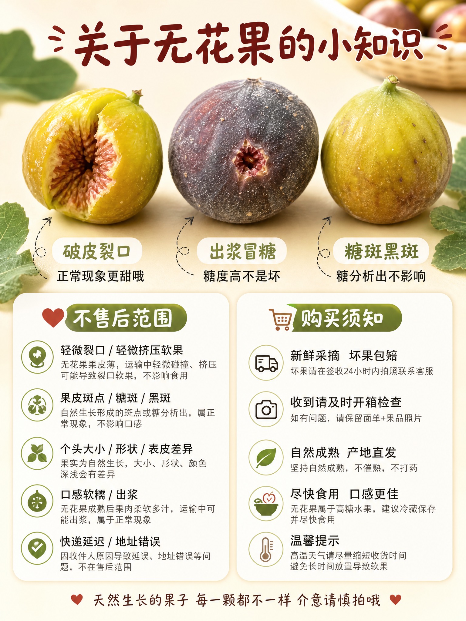 [商品] 使用【图1】【图9】云南高原自然熟无花果；保留黄绿色… - 图片创意预览
