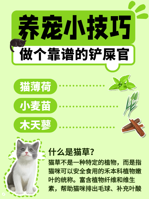 宠物攻略指南分享小红书封面预览效果