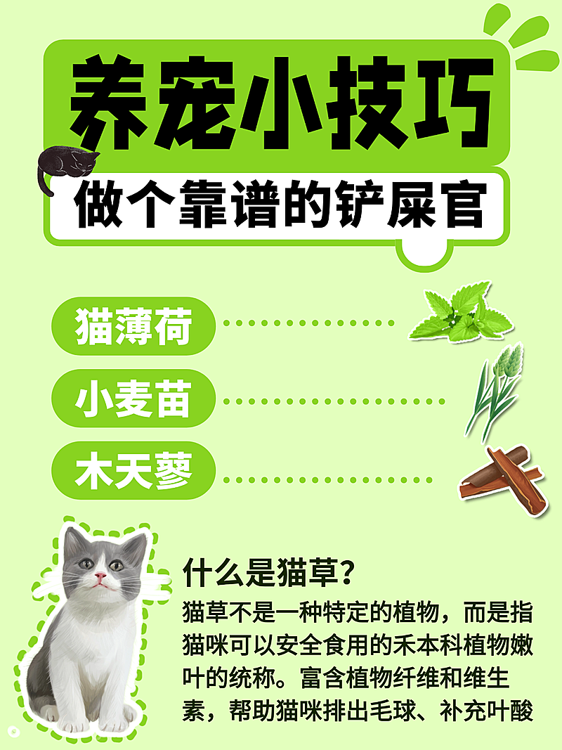 宠物攻略指南分享小红书封面