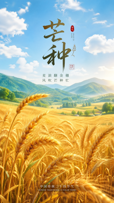 二十四节气芒种主题海报，画面中有金黄的麦田随风起伏，饱满的麦穗颗粒饱满，远处有朦胧的青山，天空湛蓝飘着几朵白云，海报顶部有艺术字体"芒种"，整体风格清新自然，配色温暖明快，构图饱满适合做节日海报预览效果