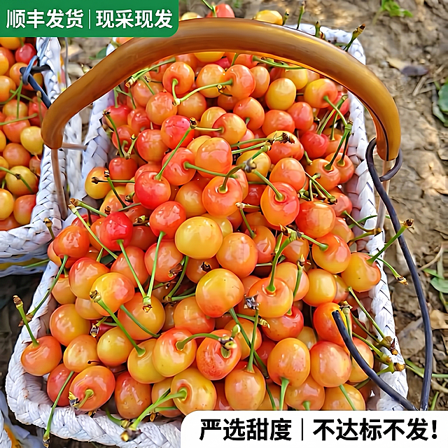 帮我把图片等比例放大，不要有白边，其他内容不变