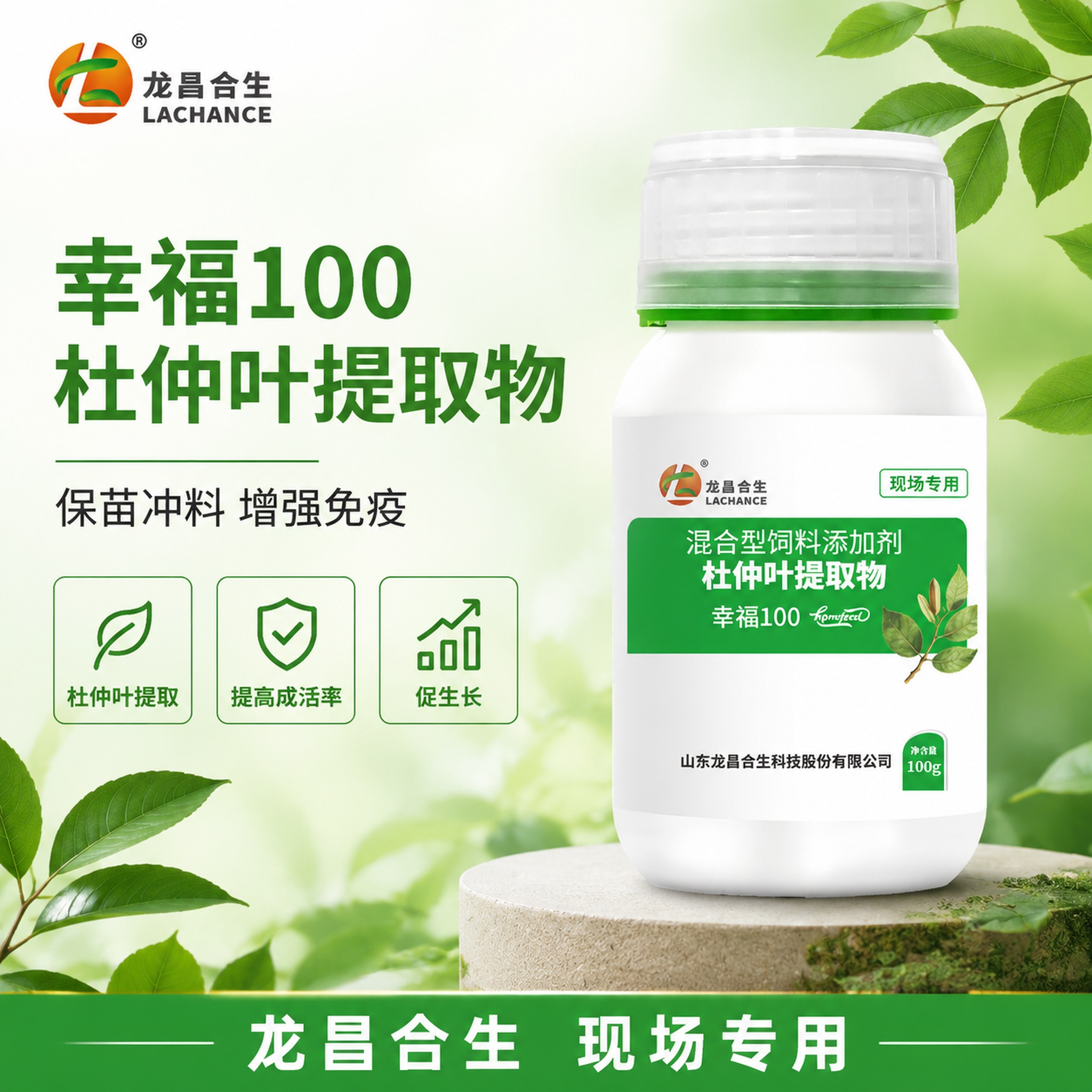 电商主图，幸福100杜仲叶提取物产品创意图，简约专业风格。画面… - 图片创意预览