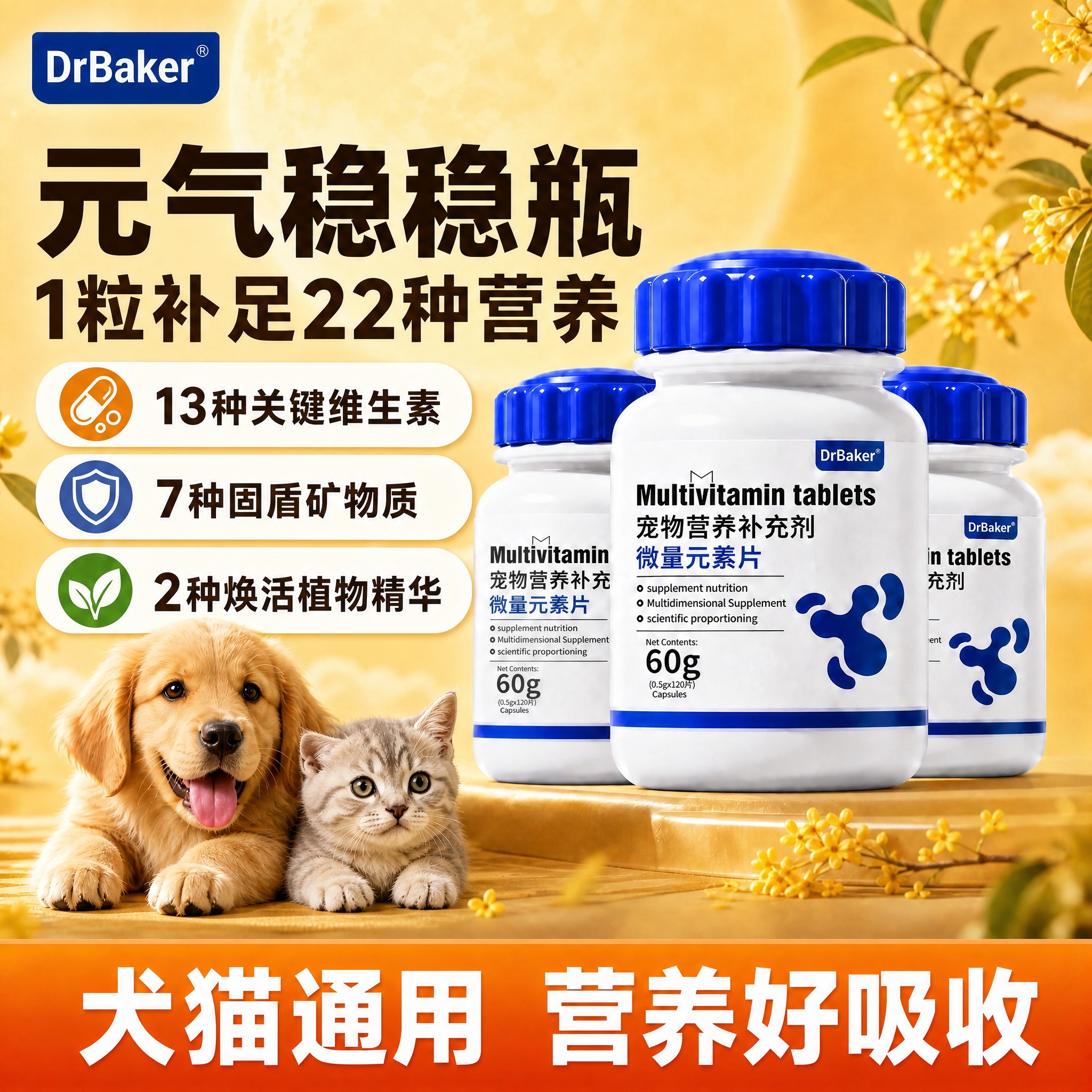 在这张暖黄圆月背景的DrBaker宠物营养补充剂主图基础上，添… - 图片创意预览