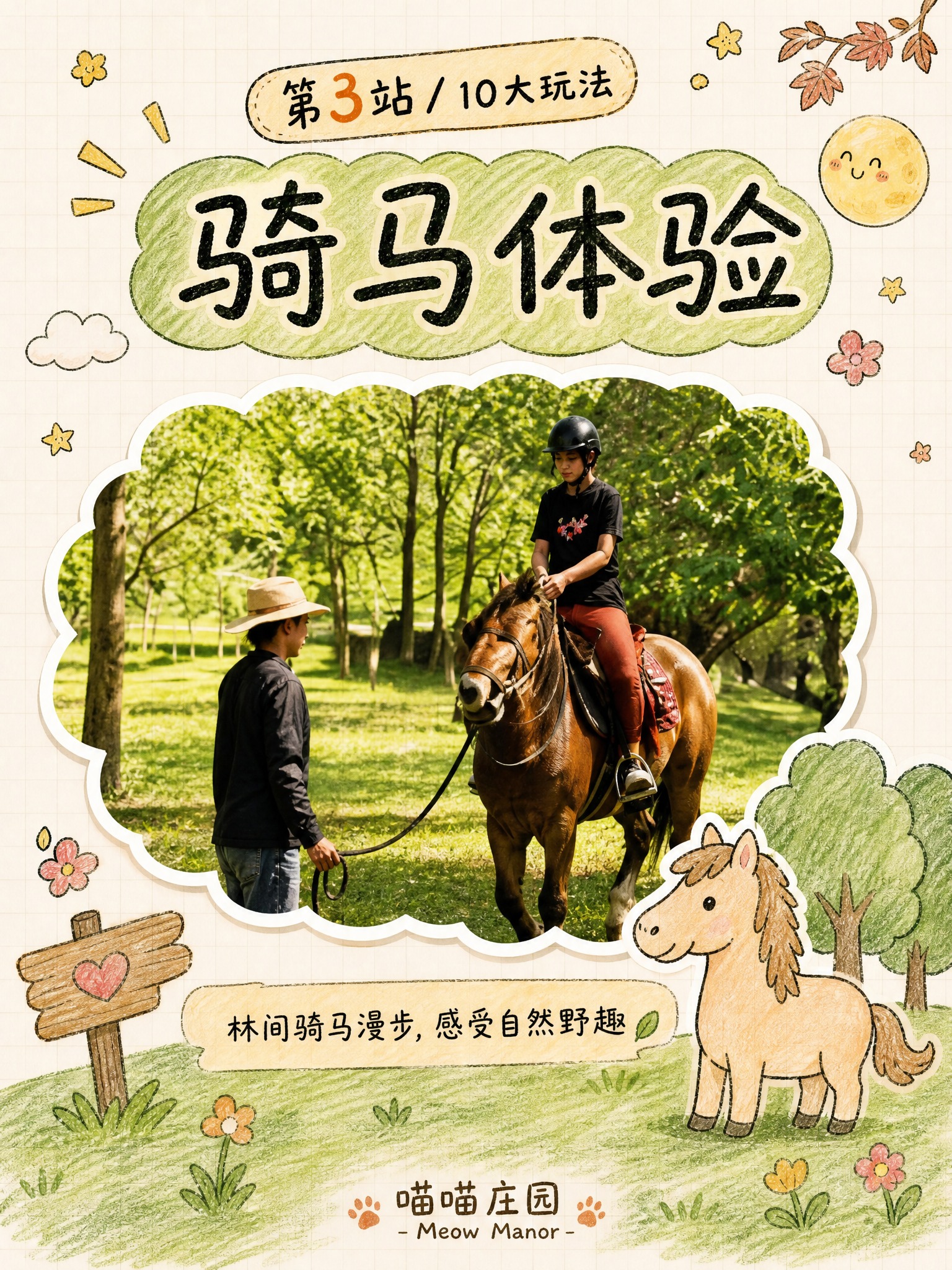 小红书内页图，手账手绘线稿+彩铅风格，米白色网格纸背景，延续喵… - 图片创意预览