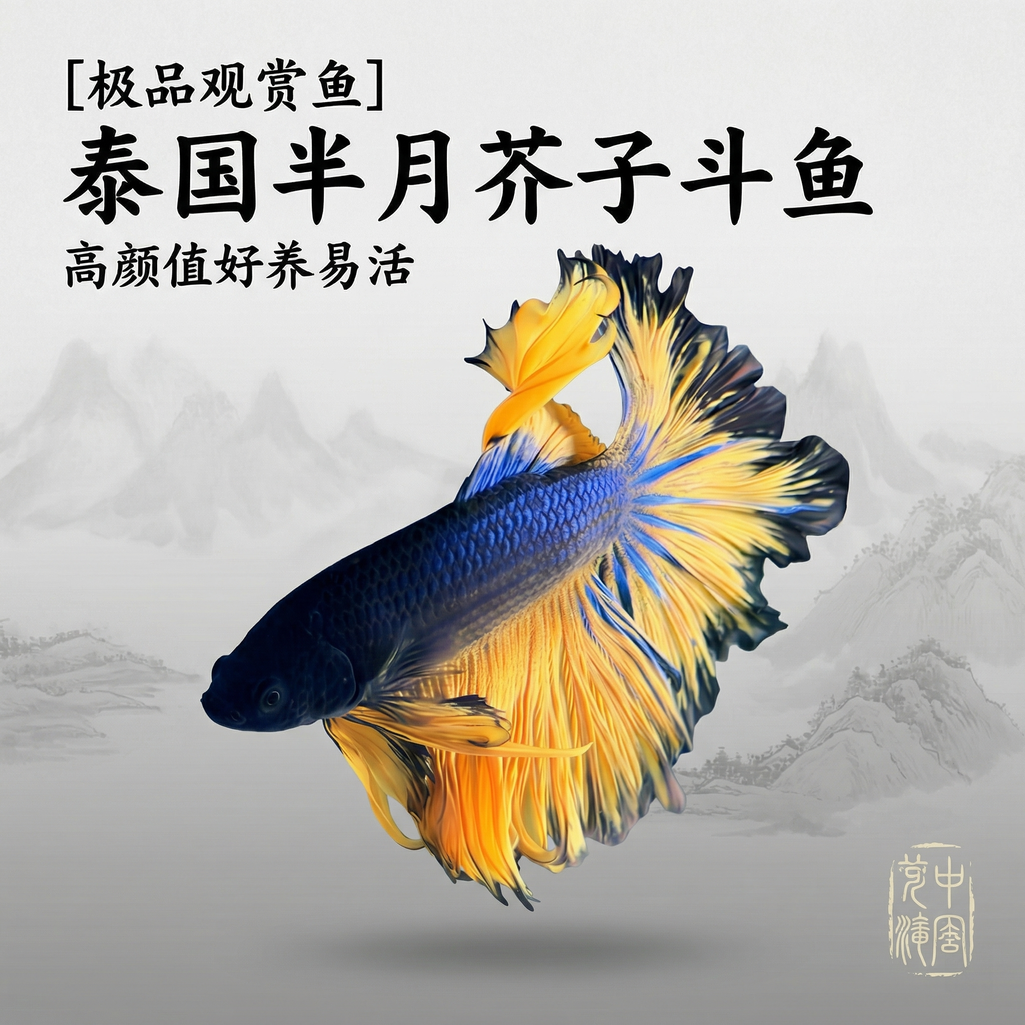 创意预览图