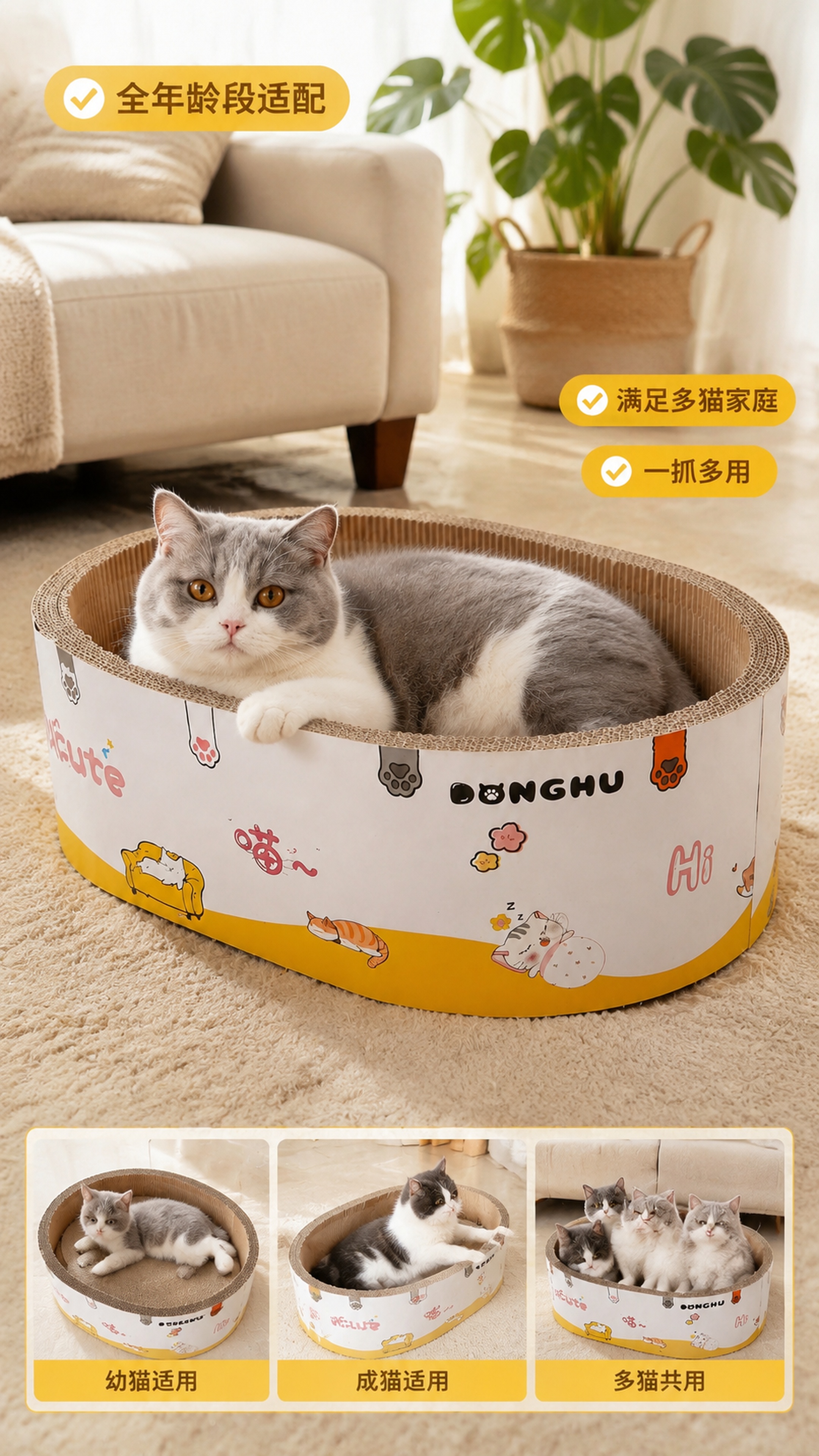 [第4屏] 猫咪使用场景实拍。本屏使用【图1】黄底款，一只英短… - 图片创意预览