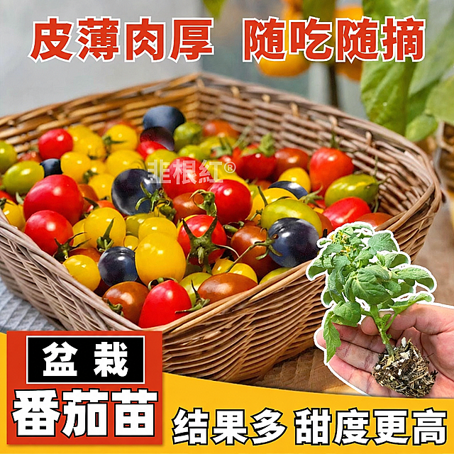 将图片中所有"禾巨人"水印文字替换为"韭根红"，保持水印的位置、大小、颜色、透明度和样式完全一致，图片其余内容保持不变