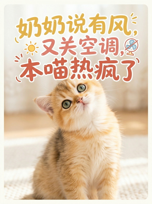 保持图中小猫的主体特征不变，制作成小红书封面，添加俏皮大字报标题"奶奶说有风，又关空调，本喵热疯了"，风格明亮干净欢快，柔和的自然光，温暖诱人的氛围预览效果