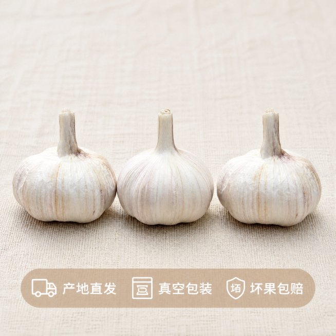 [主图-5] 干大蒜多颗规格展示与服务承诺，促进转化下单。保持干大蒜外观（物理结构、材质质感、紫白条纹颜色）与输入产品图绝对一致，杜绝任何变形和色差，精细化处理。商品主体占比严格控制在70%左右。氛围预览效果
