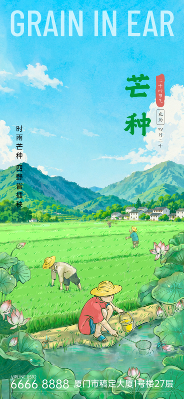 插画风水彩风芒种时节插秧手机全屏海报预览效果