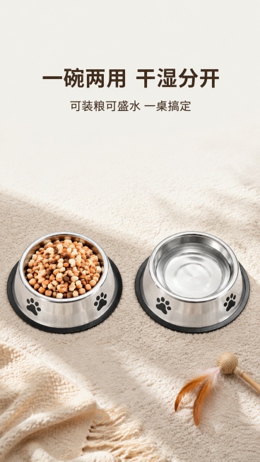 [第9屏] 干粮饮水两用场景，俯拍视角，两个同款银色不锈钢宠物碗并排摆放，左边碗装满冻干猫粮，右边碗盛满清水，背景是浅米色地毯，角落放一支逗猫棒小道具，暖自然光，温馨居家感，展示一碗两用功能，高清写实预览效果