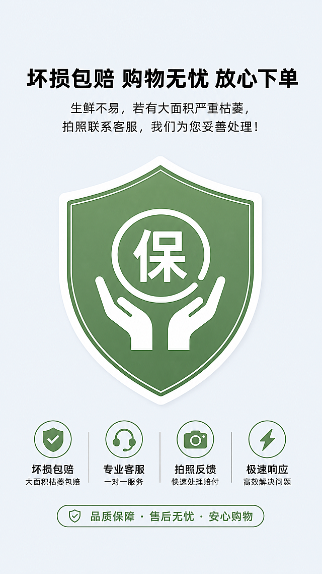 重新生成