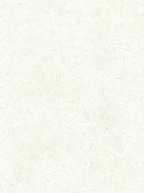 给我上方两个图片的背景图预览效果