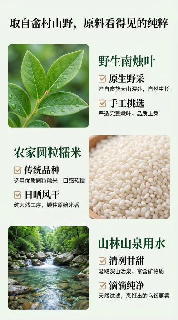 [第3屏] 原料选材板块，展示畲族乌米饭三大原生好食材。
[氛围/风格] 自然清新食材展示风，原生山野质感，高清实景摄影，干净通透。
[元素布局] 顶部大标题，下方分三个板块从上到下依次展示野生南烛叶预览效果