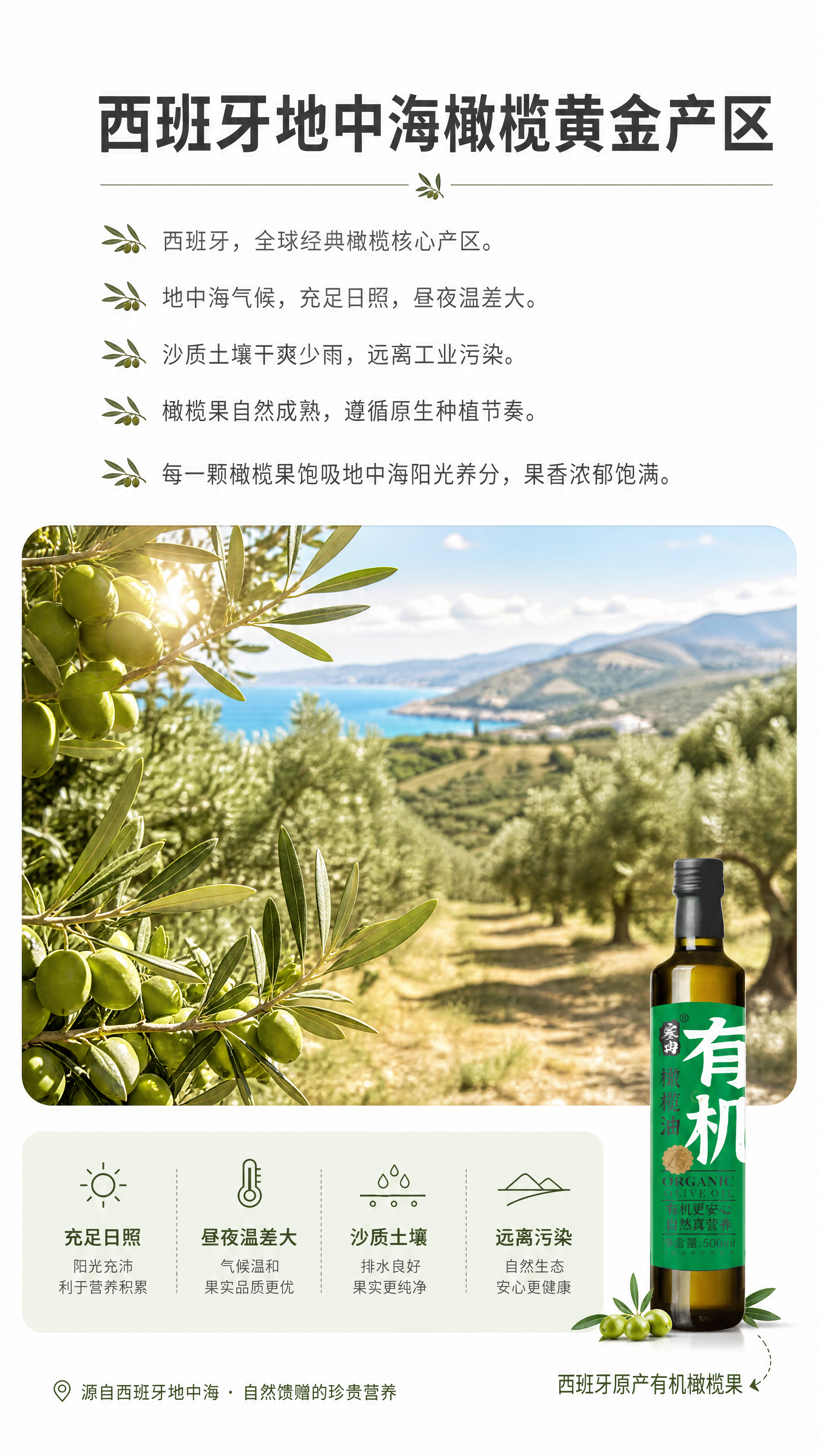 [商品] 使用【图1】塞然有机橄榄油瓶；保留深绿色玻璃瓶身、黑… - 图片创意预览