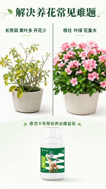 [第2屏] 养花痛点对比说明屏，本屏使用【图1】作为商品主体。
[氛围/风格] 清晰对比展示风，浅绿基调，干净明快，商业科普质感。
[元素布局] 整屏左右分栏对比布局，左侧为使用前痛点场景，右侧为使用预览效果