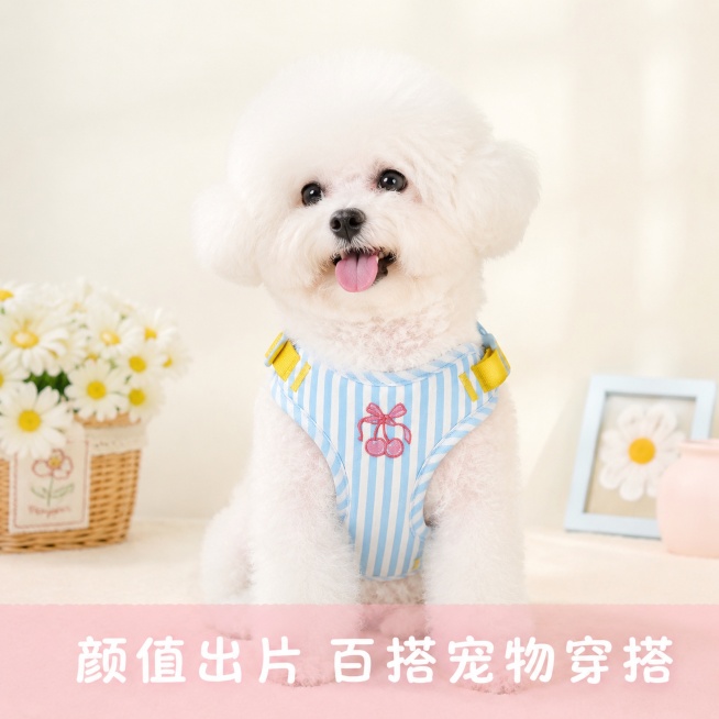 [主图-5] 条纹刺绣背心式宠物胸背带穿搭拍照场景展示图
[氛围风格] 软萌治愈ins网红风，整体风格和全套保持统一
[画质] 商业摄影质感，光线柔和通透，产品清晰真实，画面干净高级
[元素] 一只颜预览效果