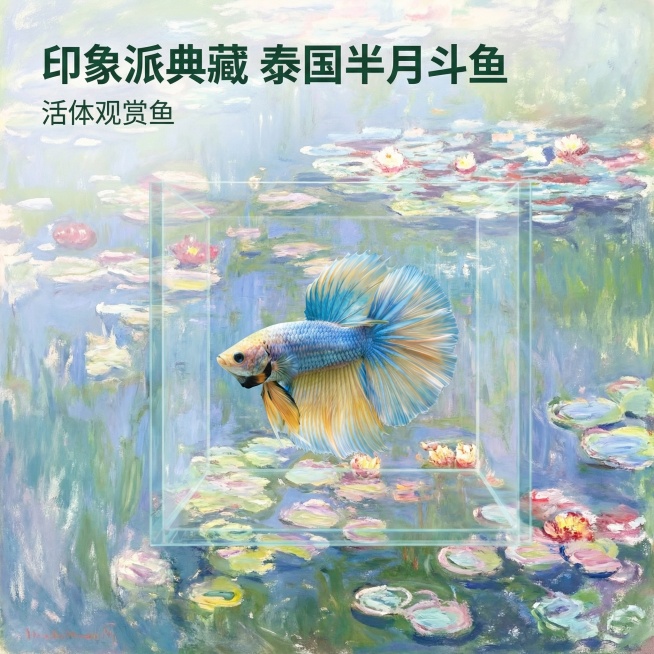 [主图 1] 重新设计首图，保留斗鱼原形态颜色不变；[氛围/风格] 创新融合莫奈睡莲油画风格，水色朦胧通透，色彩清新淡雅，写意氛围感；[画面元素] 泰国半月斗鱼居中展示全打开尾鳍，背景为莫奈睡莲池塘，预览效果