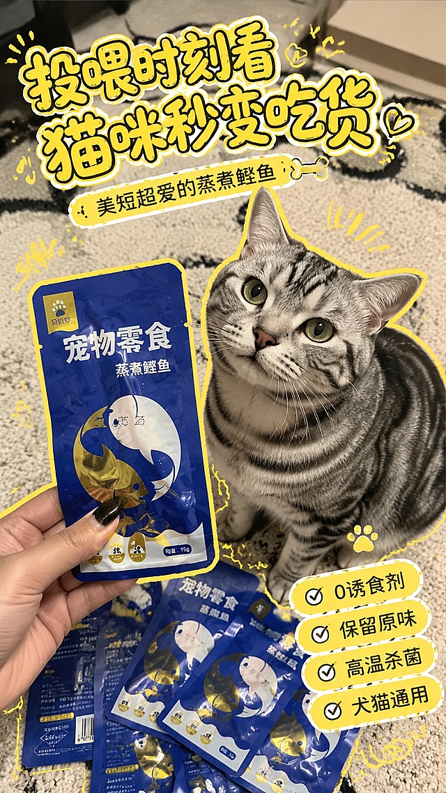 小红书封面图，贝拉哆蒸煮鲣鱼宠物零食，参考图为真实宠物合影手绘描边风格，展示产品包装和美短猫咪合影，黄色描边装饰，手写风格卖点文字，主标题“投喂时刻看 猫咪秒变吃货”，副标题“美短超爱的蒸煮鲣鱼”，卖点文字“0诱食剂 保留原味 高温杀菌 犬猫通用”，真实地毯场景，活泼有趣风格，适合小红书竖版封面
