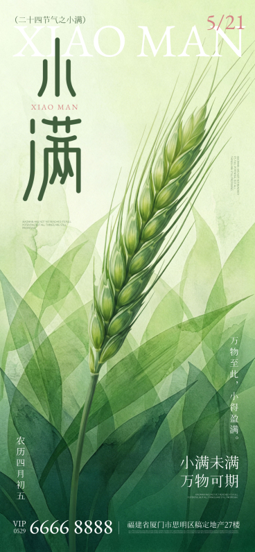 小满教育培训节气科普节气插画线上渠道竖版海报预览效果